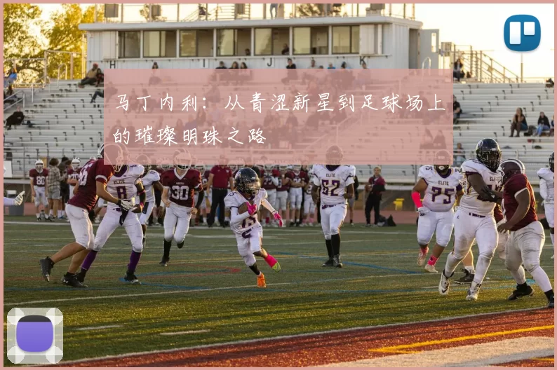 马丁内利：从青涩新星到足球场上的璀璨明珠之路