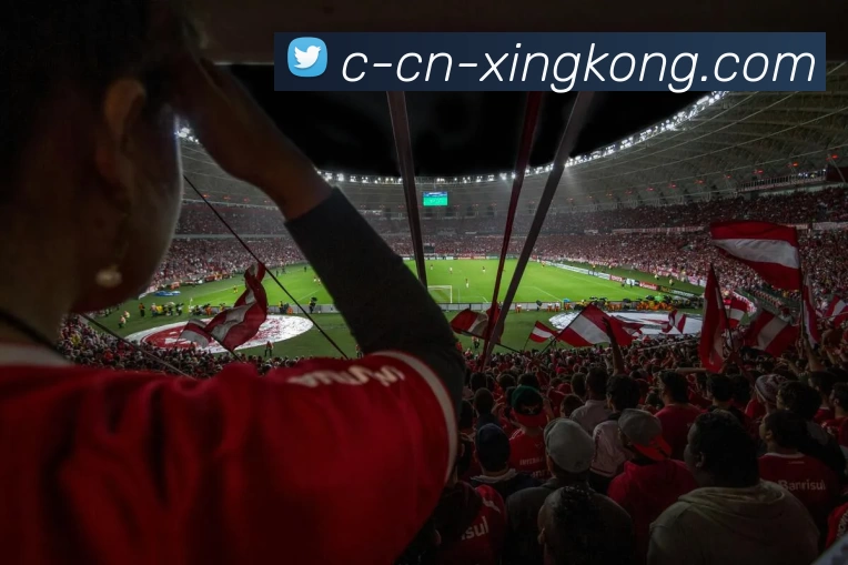 多媒体互动体验